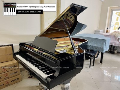 Đàn Piano Grand YAMAHA C7 FII CONSERVATORY