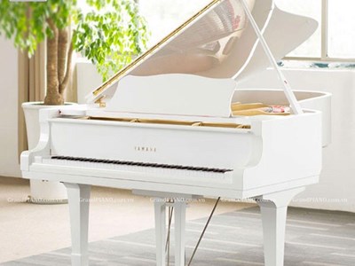 Đàn Piano Grand YAMAHA G2E