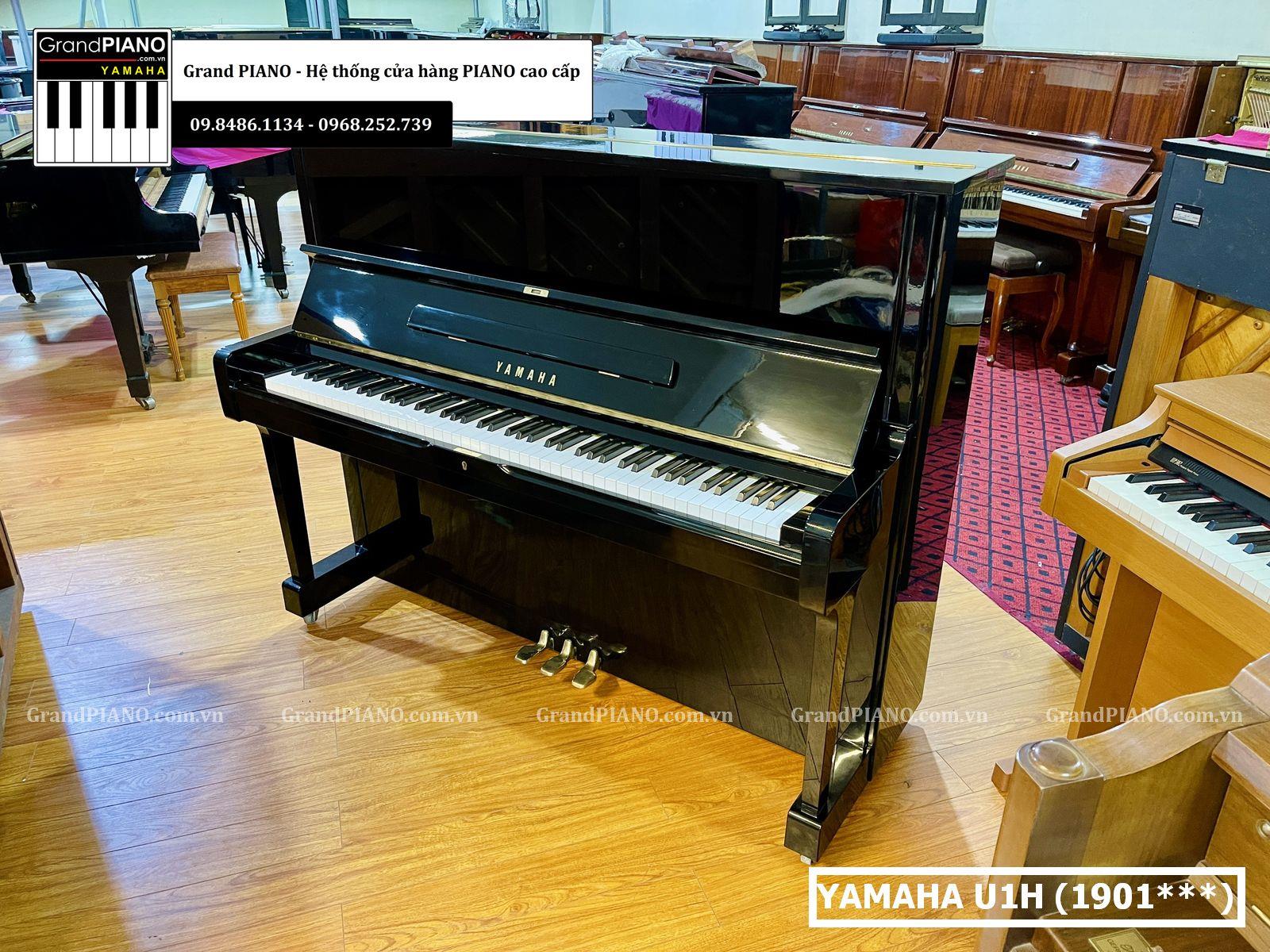 Đàn Piano cơ YAMAHA U1H (1901***)