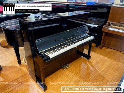 Đàn Piano cơ YAMAHA U1H (30217XX)