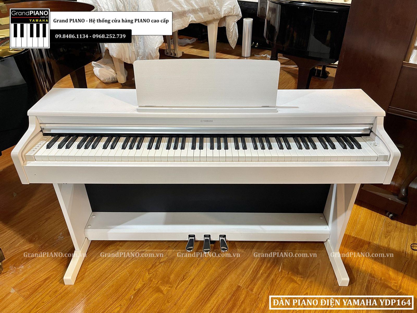 Đàn Piano điện YAMAHA YDP164