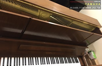 YAMAHA YU30Wn 6024815