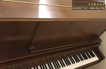 YAMAHA YU5Wn 5838915