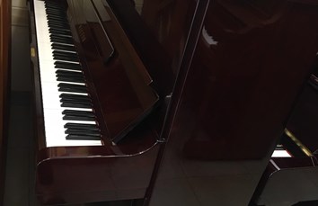 VICTOR V-105M N17333588