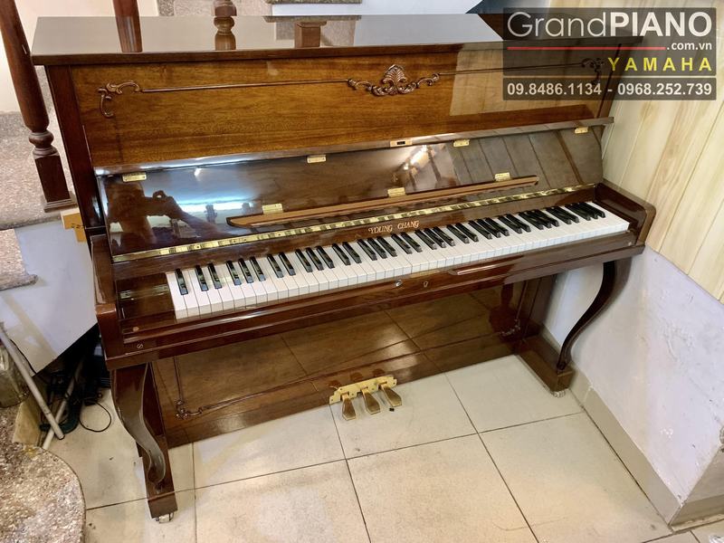 YOUNGCHANG E118 (1337621)