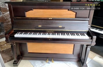 Piano IBACK