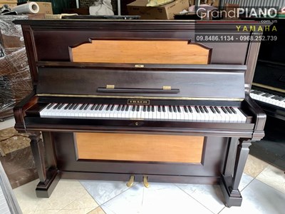 Piano IBACK