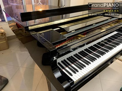 GRAND YAMAHA G5E (5021019)
