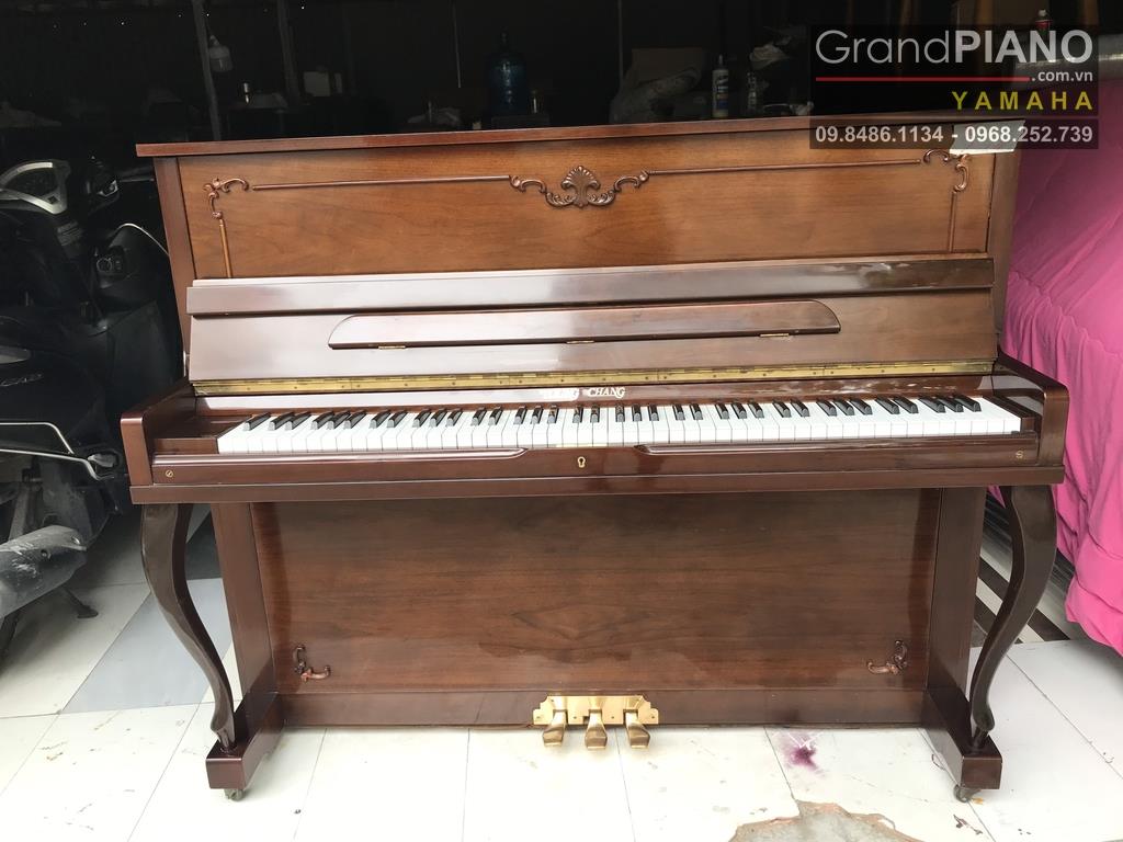 YOUNG CHANG E118CA (1450317)