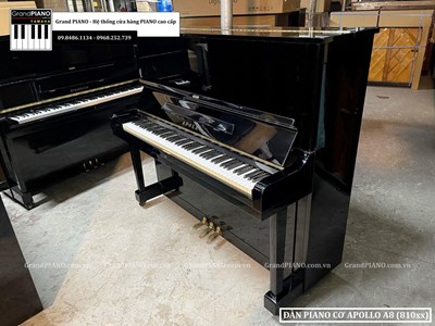 Đàn Piano cơ APOLLO A8 (810XX)