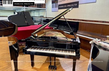 Đàn Piano cơ YAMAHA C3B (4770995)