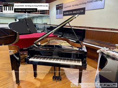 Đàn Piano cơ YAMAHA C3B (4770995)
