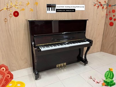 Đàn Piano cơ UNIVERSAL 特製200号 (1002**) - CẬP NHẬT