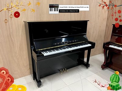 Đàn Piano cơ HORUGEL WG9 - CẬP NHẬT