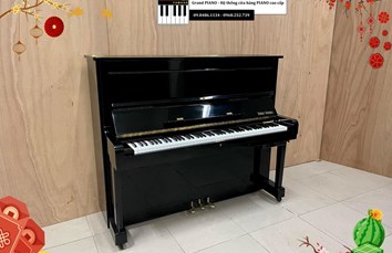 Đàn Piano cơ FRITZKUHLA SPECIAL 30 (1077**) - CẬP NHẬT